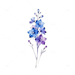 水彩蓝紫花艺插画