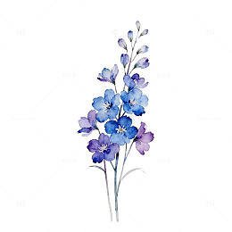 水彩蓝色花卉插画装饰素材