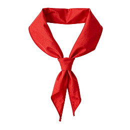 红色领巾系结样式展示