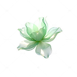透明感莲花矢量设计素材
