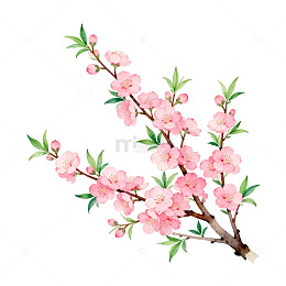 水彩桃花装饰画素材