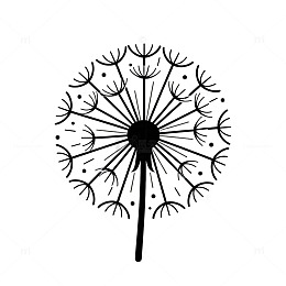 黑白线描蒲公英图案设计素材