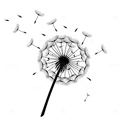 黑白蒲公英剪影插画