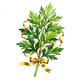 绿意丝带装饰植物插画