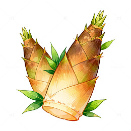水彩笋尖美食插画素材