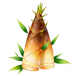 水彩竹笋插画设计元素