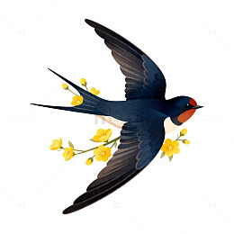 燕子插画黄色花朵装饰