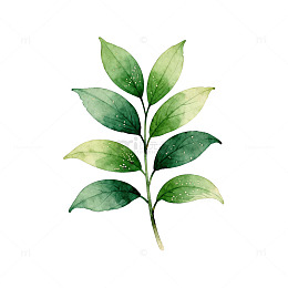 水彩绿叶植物插画素材
