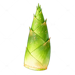 水彩绿竹笋插画素材