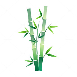 简约风竹叶矢量插画