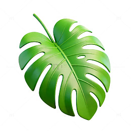 绿色植物叶片矢量图素材