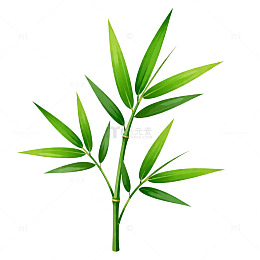 绿竹叶子简约植物插画素材