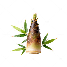 清新竹笋绿叶静物