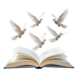 书本飞出五只白鸽图片