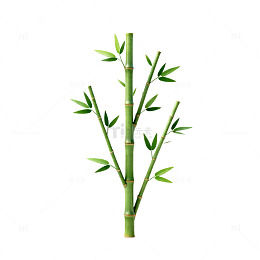 简约风竹子矢量插图
