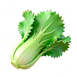 3D渲染新鲜白菜图案设计元素