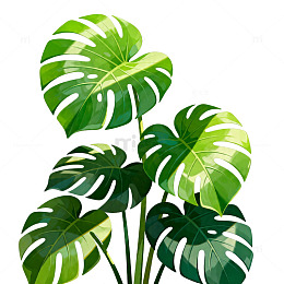 绿色植物插画热带叶素材