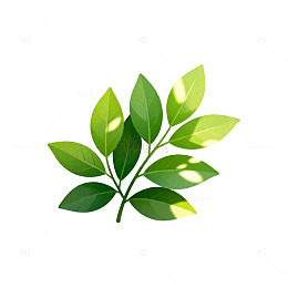 清新绿色植物插画