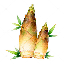 水彩春笋绿叶手绘插画