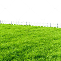 绿草如茵田园风景