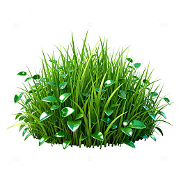 3D草丛植物模型