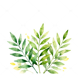 水彩绿植装饰画