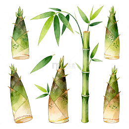 水彩竹笋插画素材