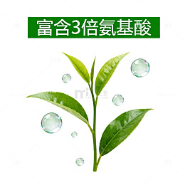 绿茶富氨基酸宣传图