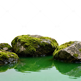 绿色苔藓石头水景