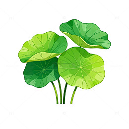 绿色荷叶矢量插画
