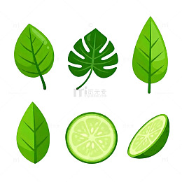 卡通风格绿叶青柠矢量图素材