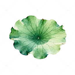 水墨荷叶艺术插画