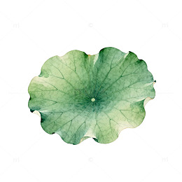 水彩荷叶手绘设计素材