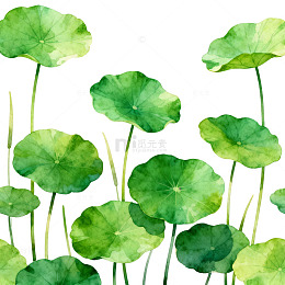 水彩荷叶插画图案装饰素材