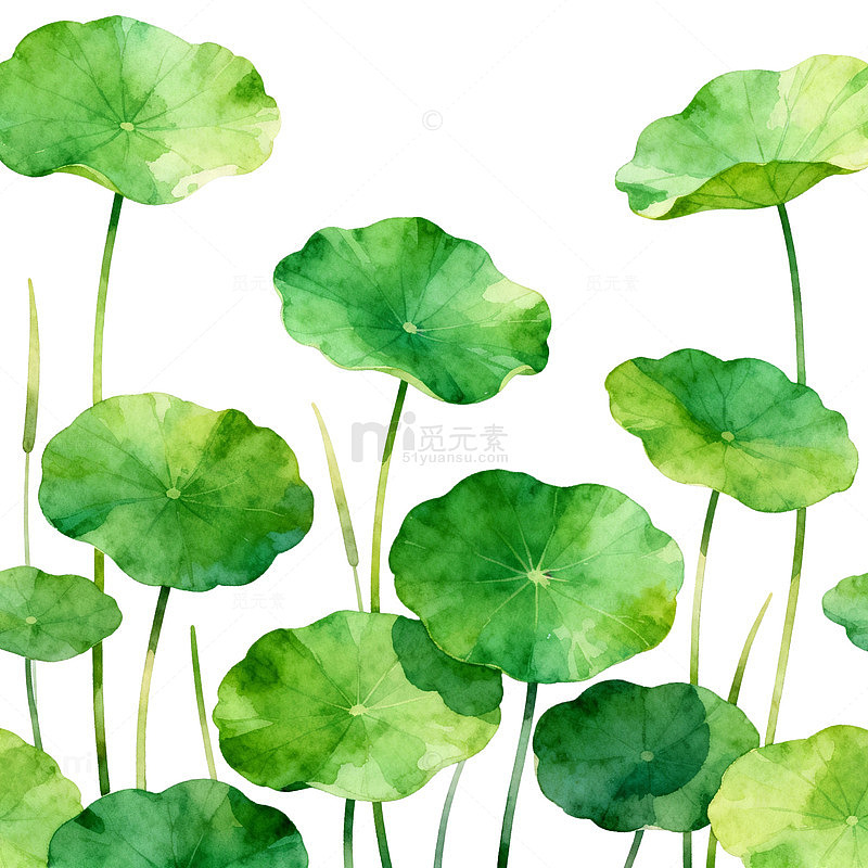 水彩荷叶插画图案装饰素材