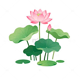 卡通荷花矢量插画