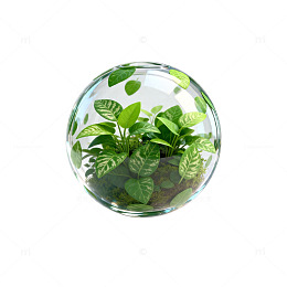 微缩植物球创意