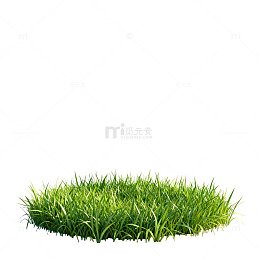 简约草地阳光景象