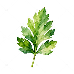 水彩叶画植物装饰图案