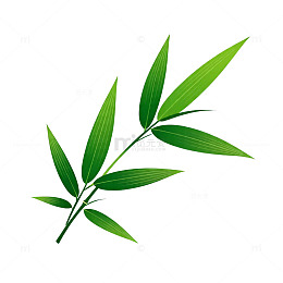 绿色竹叶矢量插画