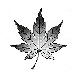 灰阶枫叶线条插画