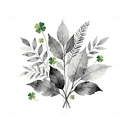水墨植物三叶草装饰画