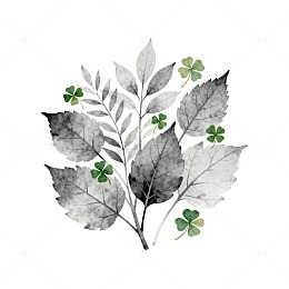 水墨风植物三叶草插画