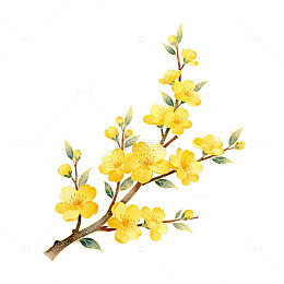 水墨迎春花国画花卉装饰素材