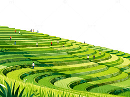 梯田风光插画设计