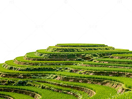 梯田风光绿色自然景观图片素材
