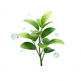 清新绿植泡泡插画