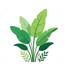 简约风绿植插画设计素材