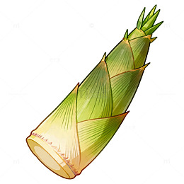 插画风竹笋美食食材插画素材