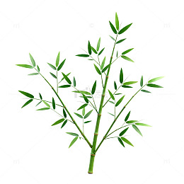 简约竹子矢量插画